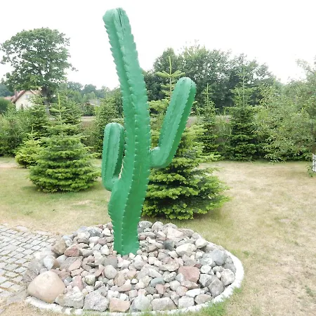 Kaktus Дом отдыха *