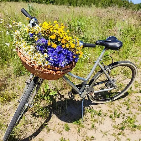 Kaktus Osieki (Koszalin)