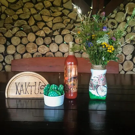 Kaktus Prázdninový dům *