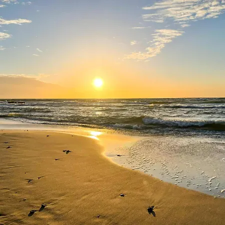 Kaktus Дом отдыха Osieki (Koszalin)