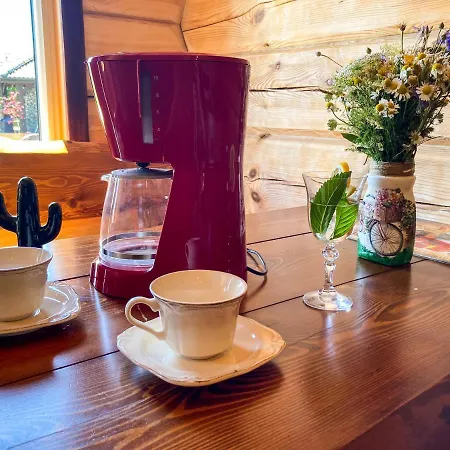 Kaktus * Osieki (Koszalin)