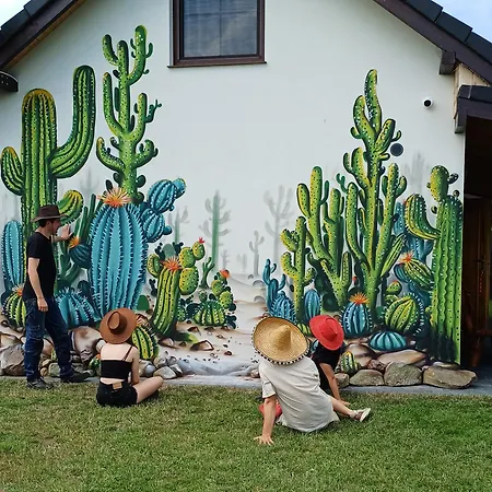 Kaktus Dom wakacyjny Osieki (Koszalin)