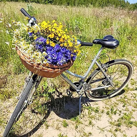 Kaktus Osieki (Koszalin)