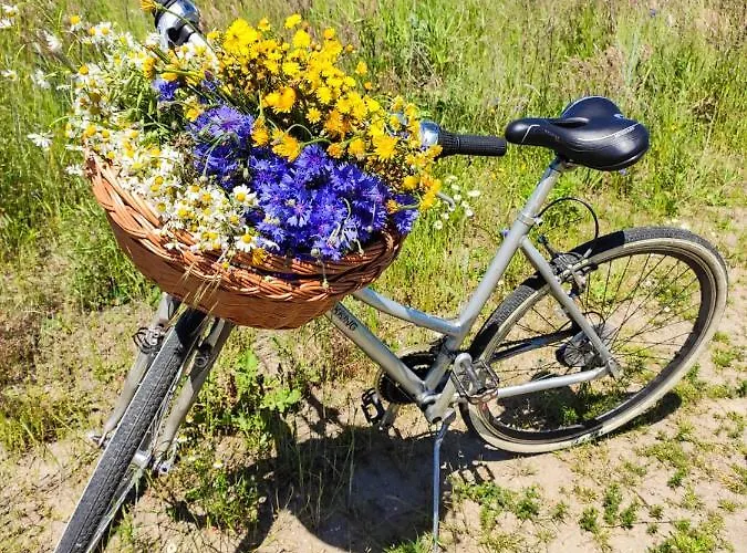 Kaktus Osieki (Koszalin)