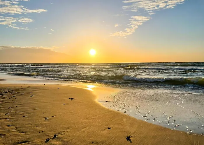 Kaktus Holiday home Osieki (Koszalin)