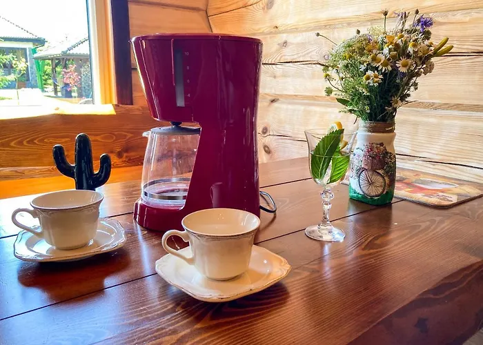 Kaktus * Osieki (Koszalin)