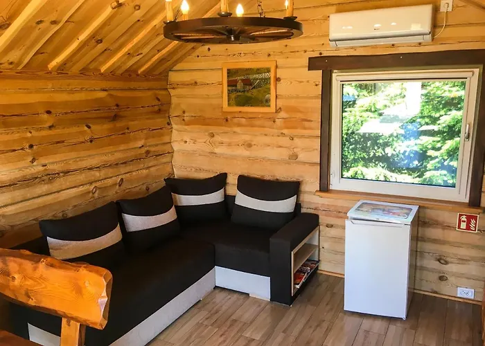 Kaktus * Osieki (Koszalin)