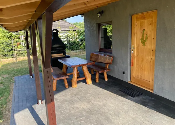 Kaktus * Osieki (Koszalin)